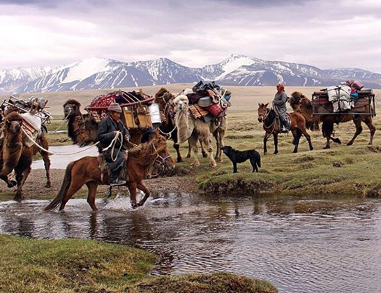 transportando la yurta